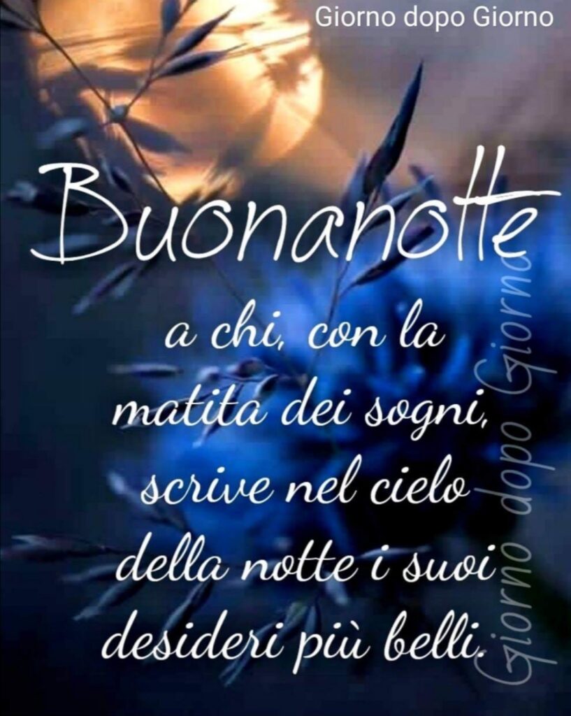 Buonanotte a chi, con la matita dei sogni, scrive nel cielo della notte i suoi desideri più belli. (Giorno dopo giorno)