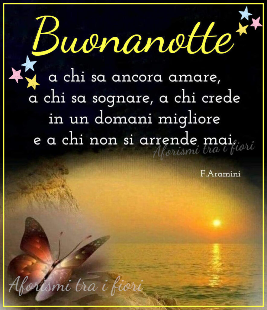 Buonanotte a chi sa ancora amare, a chi sa sognare, a chi crede in un domani migliore e a chi non si arrende mai. (F. Aramini)