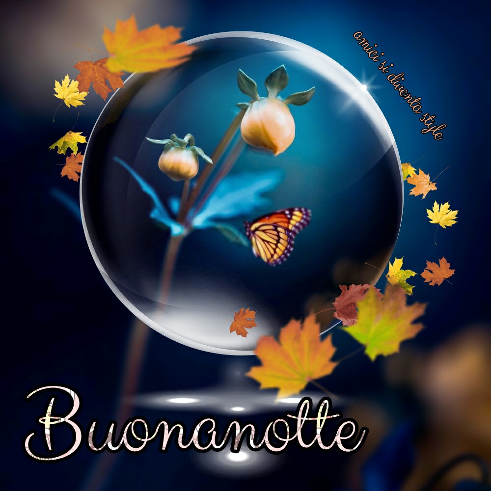 Buonanotte autunno