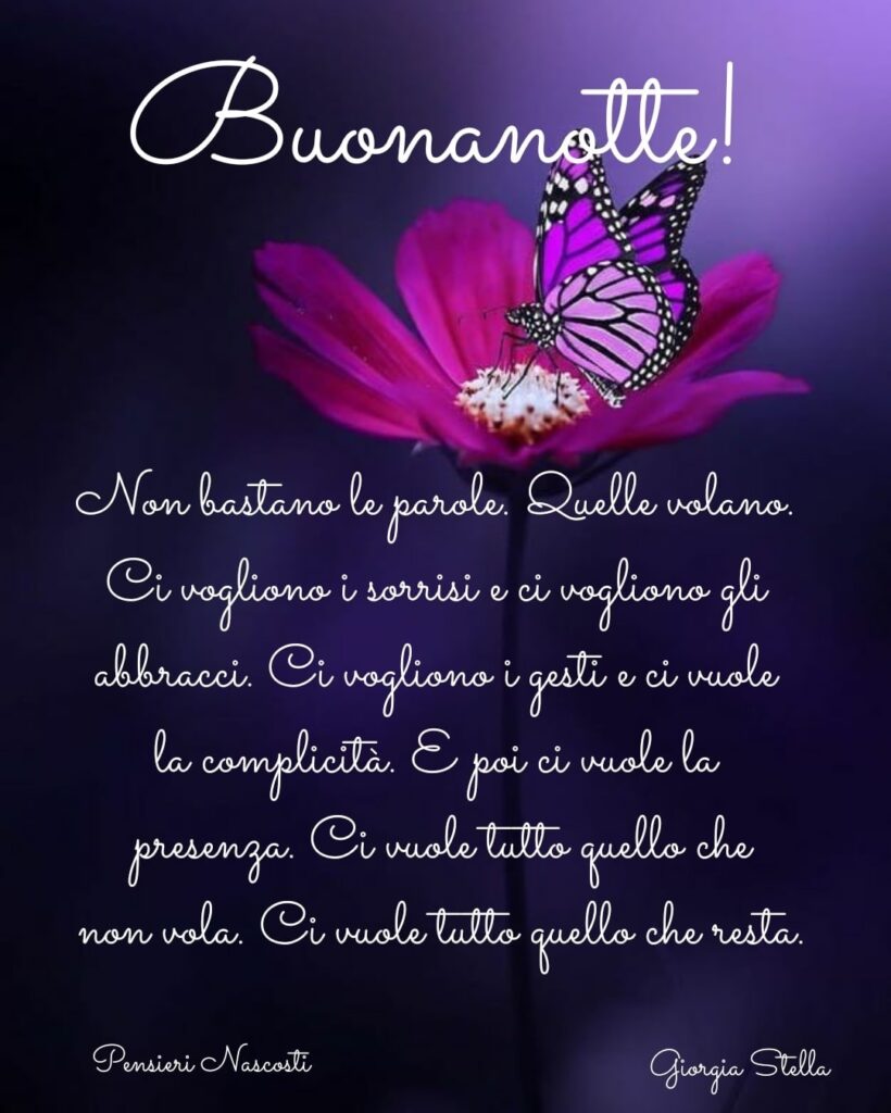 Buonanotte! Non bastano le parole. Quelle volano. Ci vogliono i sorrisi e ci vogliono gli abbracci. Ci vogliono i gesti e ci vuole la complicità. E poi ci vuole la presenza.....