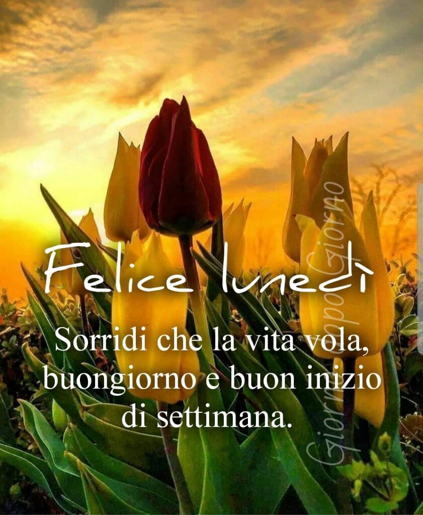 Felice lunedì. Sorridi che la vita vola, buongiorno e buon inizio di settimana.