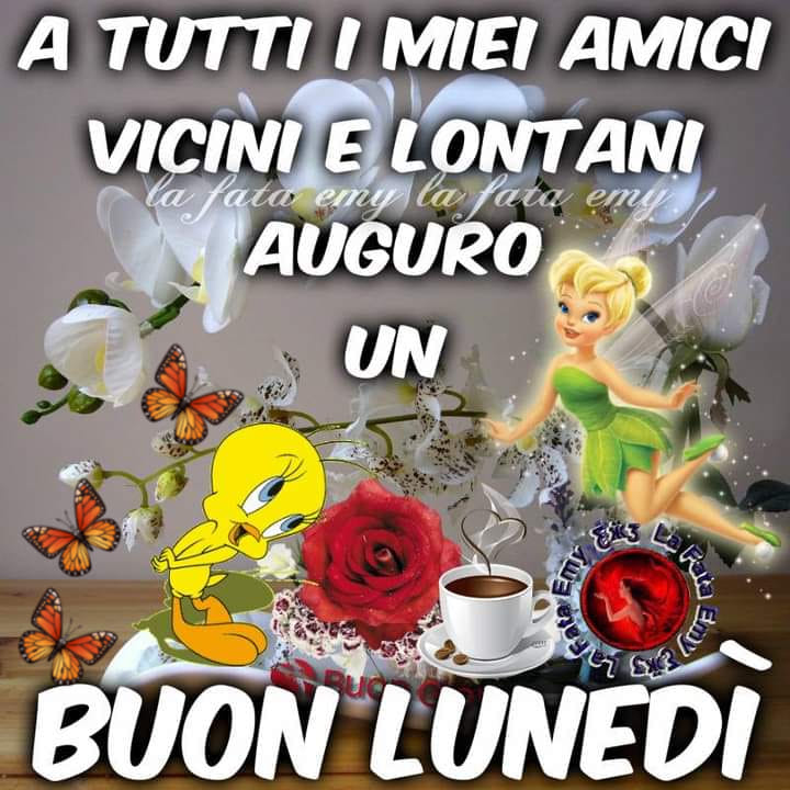 A tutti i miei amici vicini e lontani auguro un buon lunedì