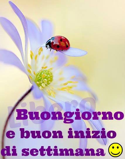 Buon giorno e buon inizio di settimana