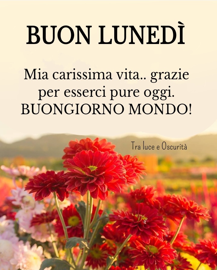 Buon Lunedì. Mia carissima vita... grazie per esserci pure oggi. BUONGIORNO MONDO!