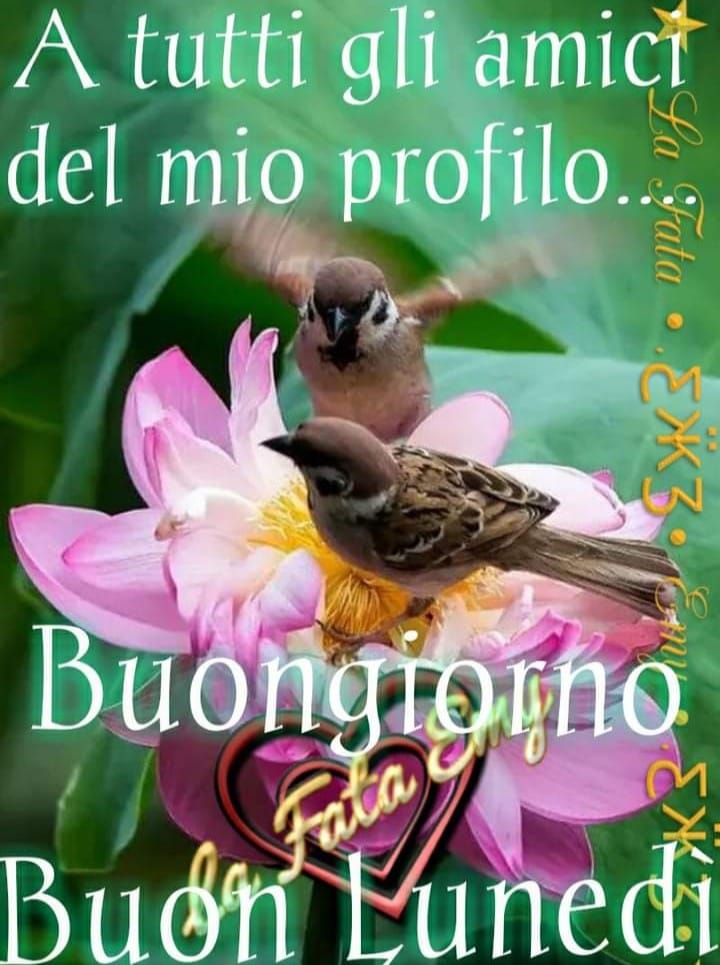 A tutti gli amici del mio profilo... Buongiorno Buon Lunedì