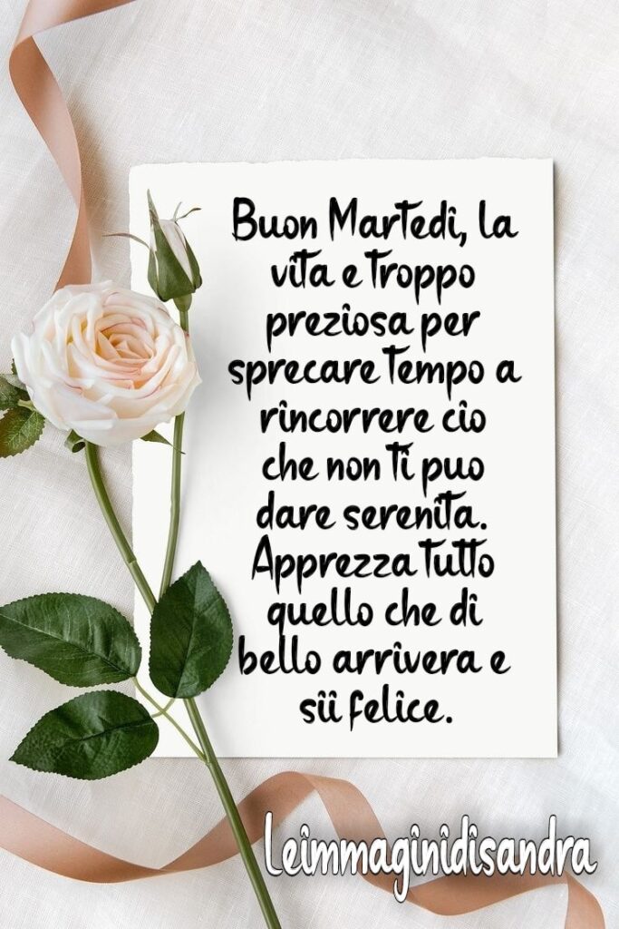 Buon Martedì. La vita è troppo preziosa per sprecare tempo a rincorrere ciò che non ti può dare serenità. Apprezza tutto quello che di bello arriverà e sii felice.