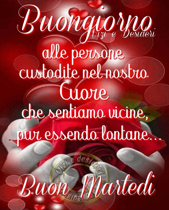 Buongiorno alle persone custodite nel nostro Cuore che sentiamo vicine, pur essendo lontane... Buon Martedì