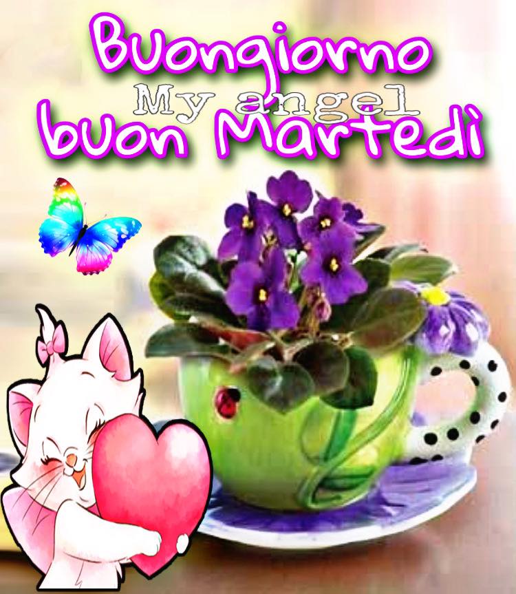 Buongiorno buon martedì fiori