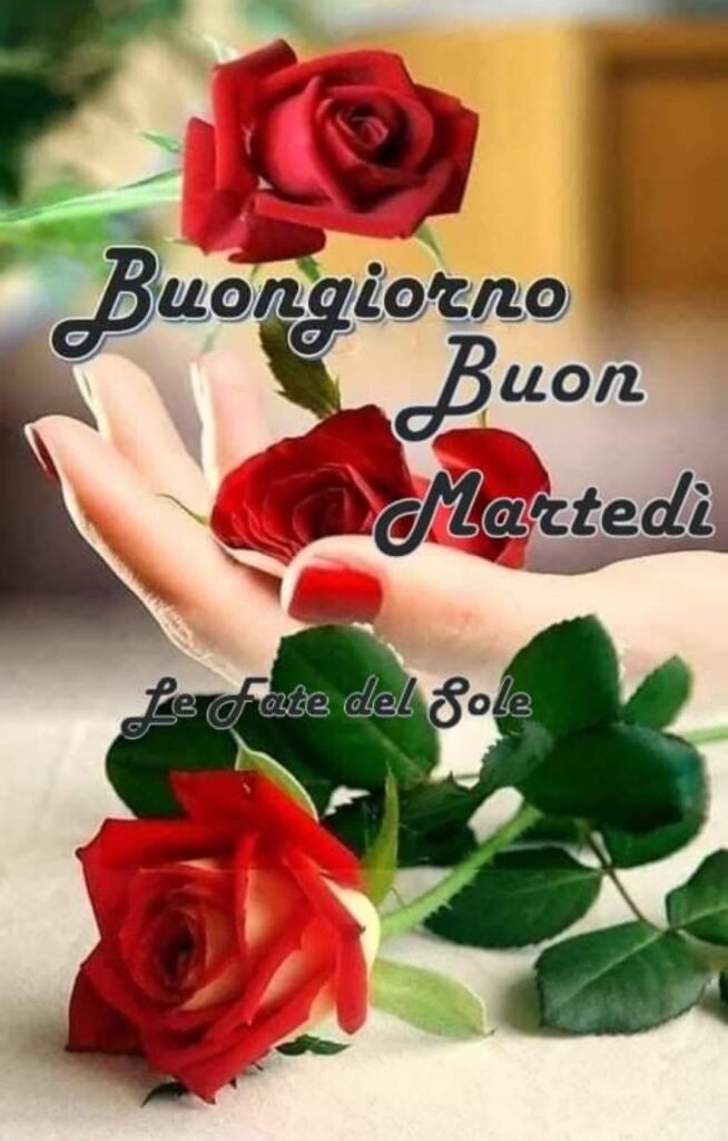 Buongiorno buon martedì rose rosse