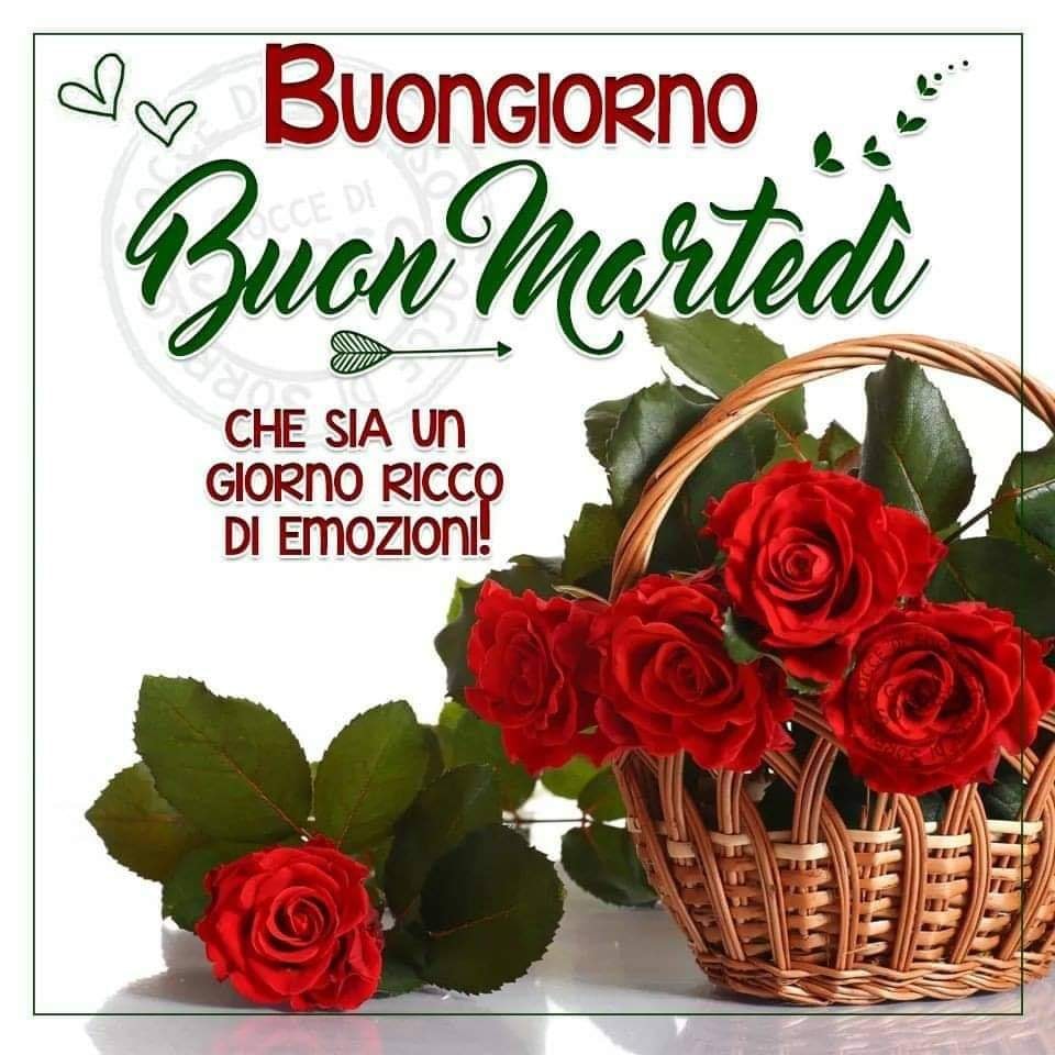 Buongiorno buon martedì amore mio