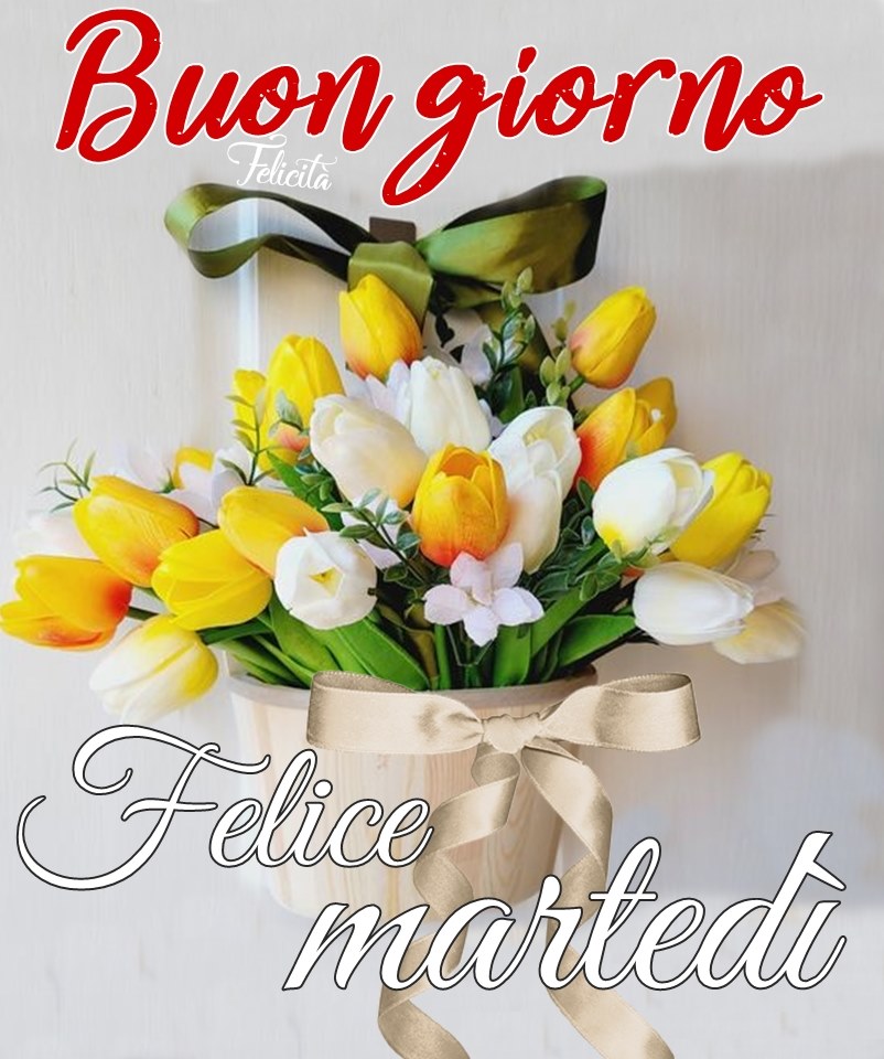 Buongiorno felice martedì con i tulipani bianchi e gialli