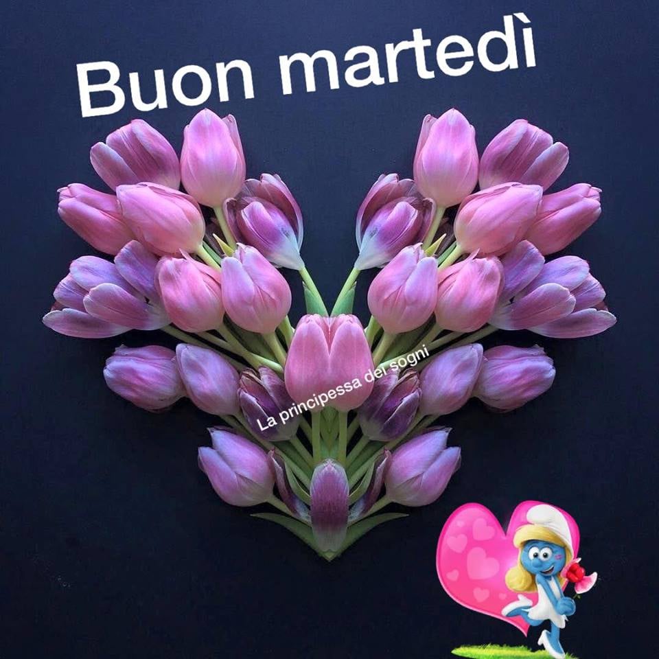 Buon martedì (la principessa dei sogni)