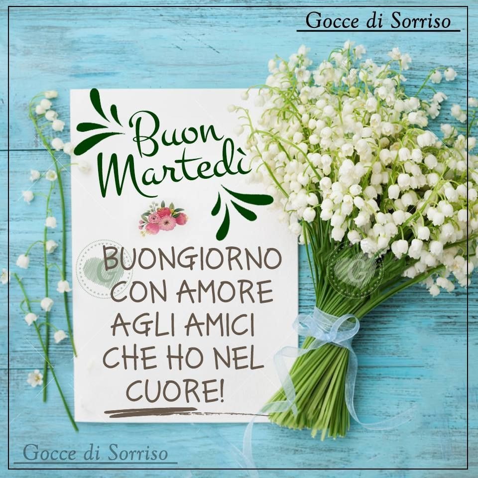 Buon martedì. Buongiorno con amore agli amici che ho nel cuore!