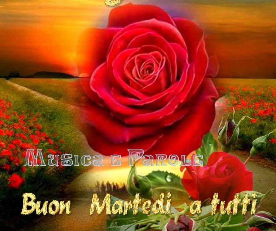 Buon martedì a tutti