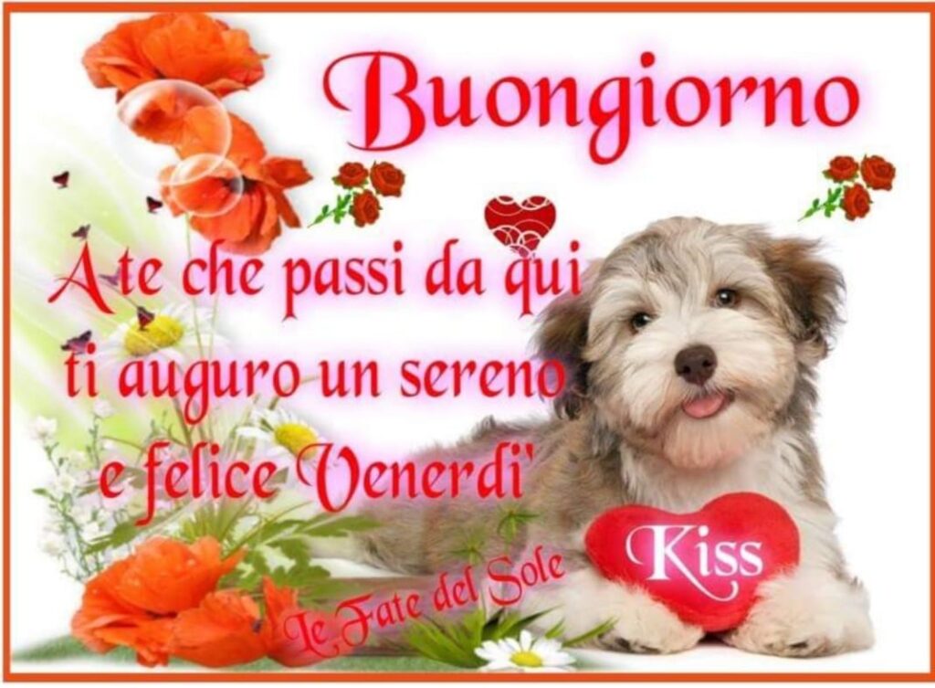 Buongiorno a te che passi di qui ti auguro un sereno e felice venerdì kiss