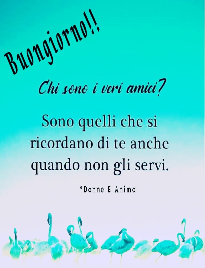 Buongiorno!! Chi sono i veri amici? Sono quelli che si ricordano di te anche quando non gli servi.