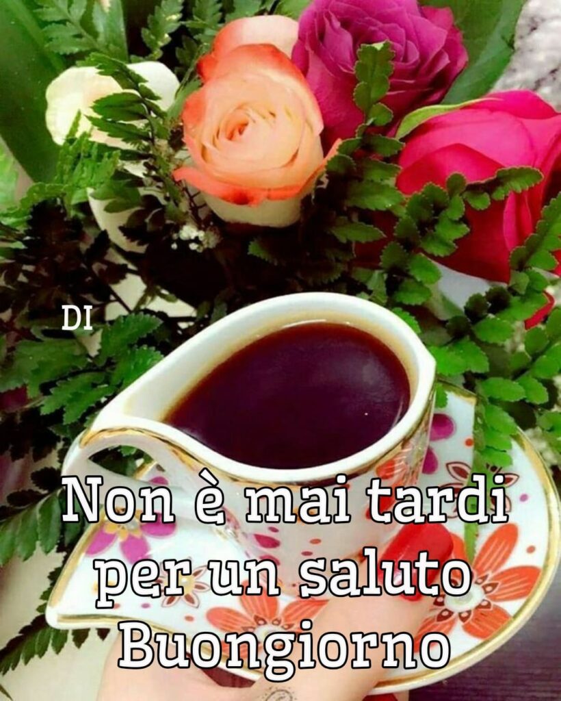 Non è mai tardi per un saluto, Buongiorno