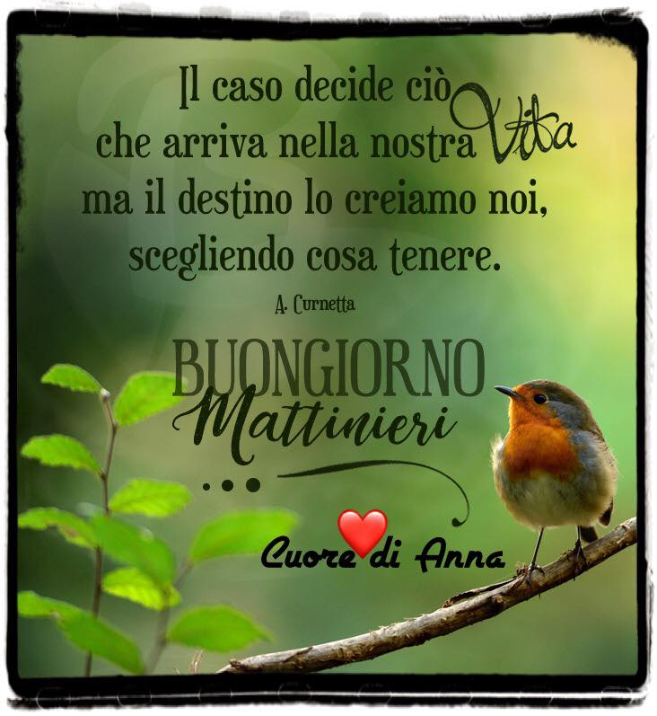 Il caso decide ciò che arriva nella nostra vita ma il destino lo creiamo noi, scegliendo cosa tenere. (A. Curnetta) Buongiorno Mattinieri