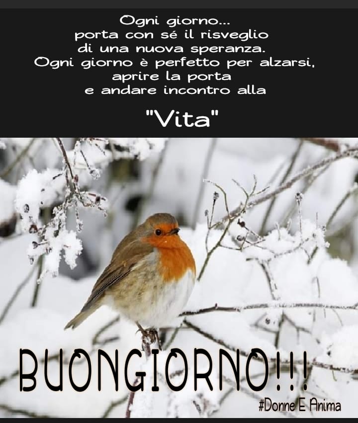 Buongiorno inverno