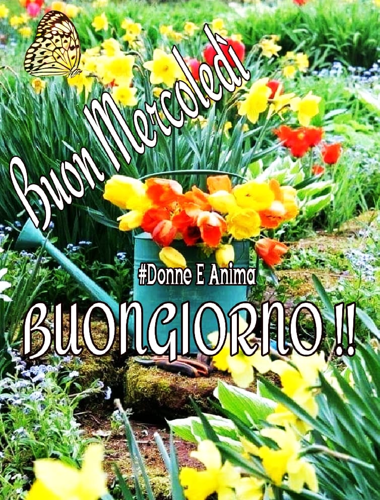 Buon Mercoledì Buongiorno !!