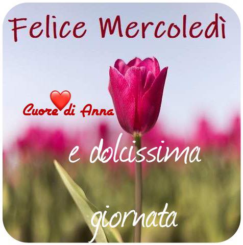 Dolcissima giornata, buon mercoledì immagini nuove