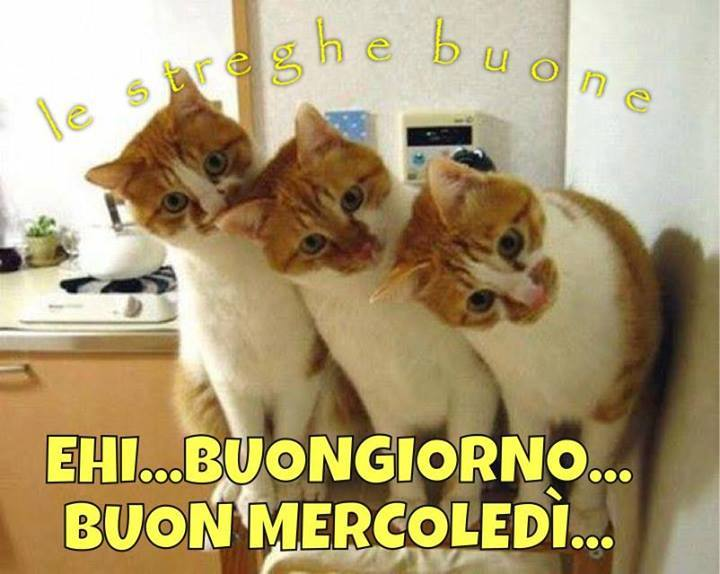 Ehi... Buongiorno... Buon Mercoledì... - immagini simpatiche