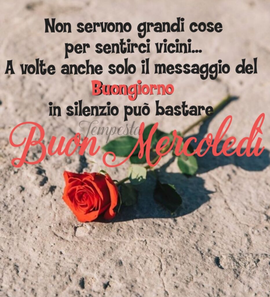 Non servono grandi cose per sentirci vicini... A volte anche solo il messaggio del Buongiorno in silenzio può bastare. Buon Mercoledì - Tempesta