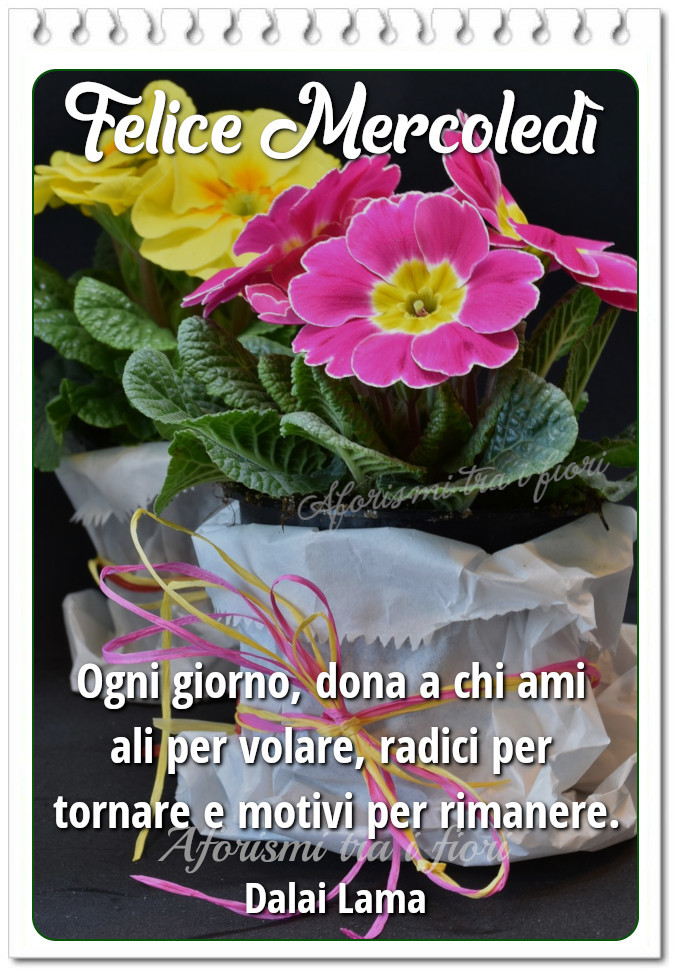 Felice Mercoledì. Ogni giorno, dona a chi ami ali per volare, radici per tornare e motivi per rimanere. (Dalai Lama)