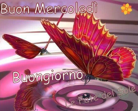 Buon Mercoledì buongiorno farfalla