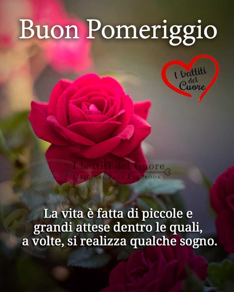 50+ immagini per Buon Pomeriggio su Facebook - CiaoBuongiorno.it