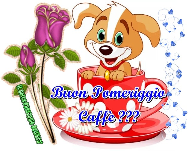 Buon pomeriggio caffè ???