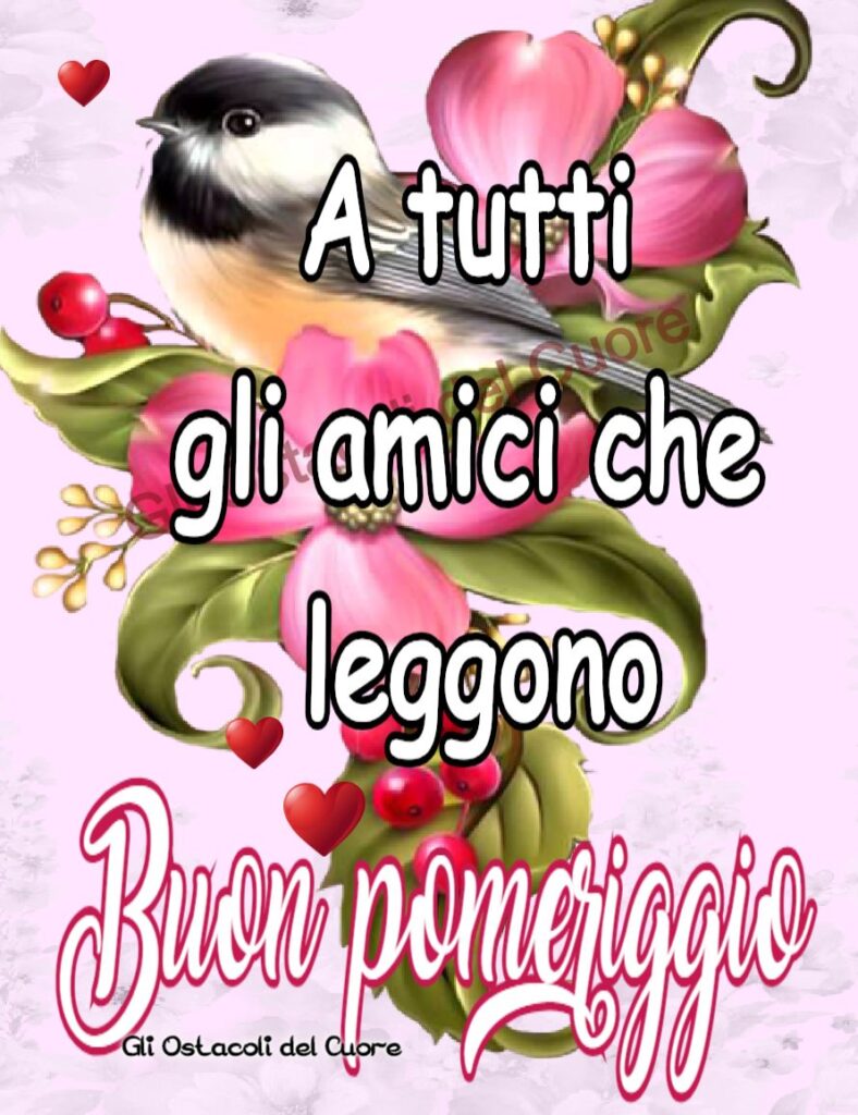 A tutti gli amici che leggono Buon Pomeriggio (Gli ostacoli del cuore)