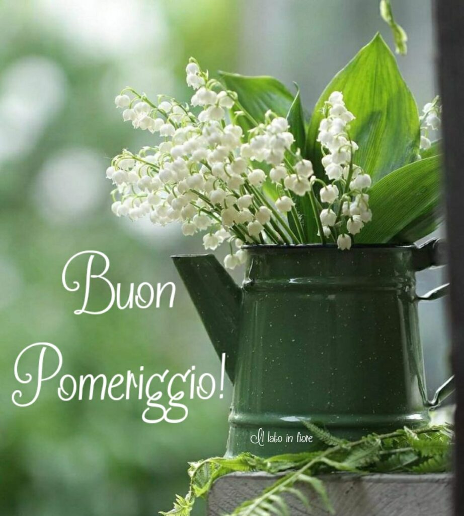 Buon Pomeriggio!