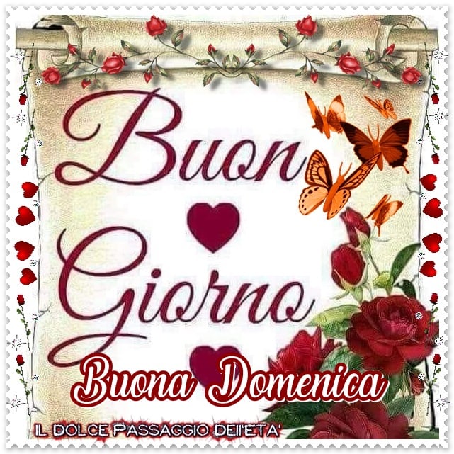 Buon Giorno Buona Domenica Amore mio