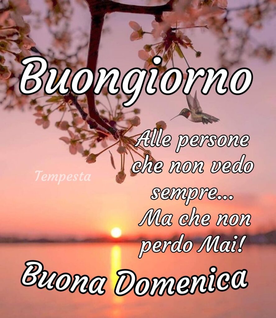 Buongiorno alle persone che non vedo sempre... ma che non perdo mai! Buona domenica