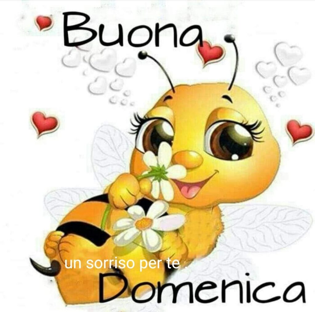 Buona Domenica immagini belle