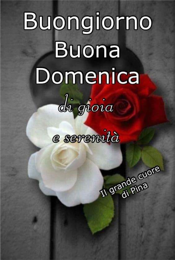 Buongiorno buona domenica di gioia e serenità