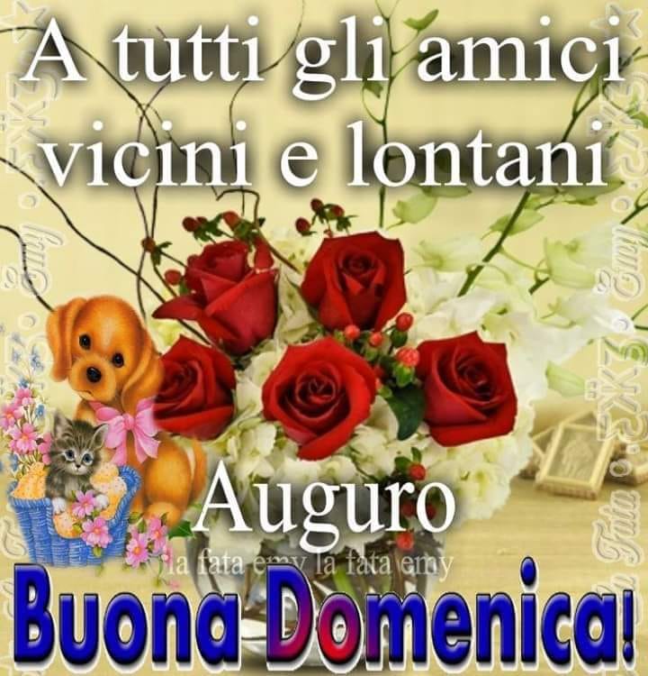 A tutti gli amici vicini e lontani auguro buona domenica