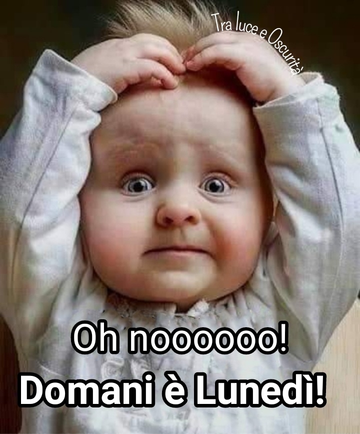 Oh nooo! Domani è lunedì! - immagini tutte da ridere