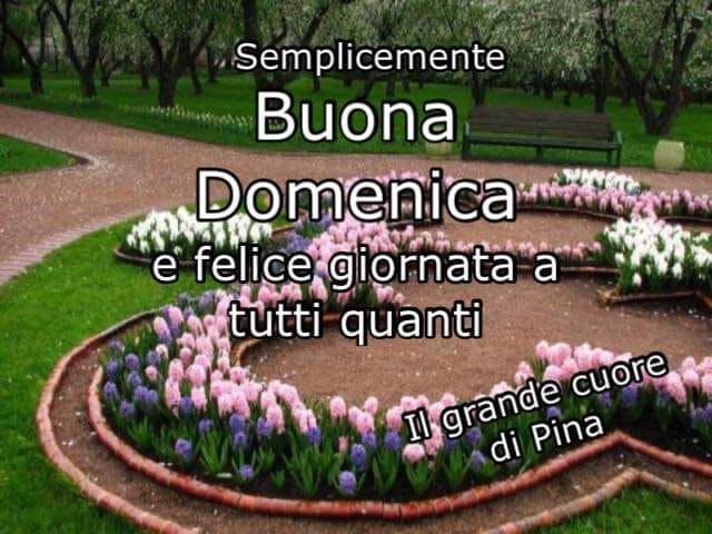 Semplicemente buona domenica e felice giornata a tutti quanti