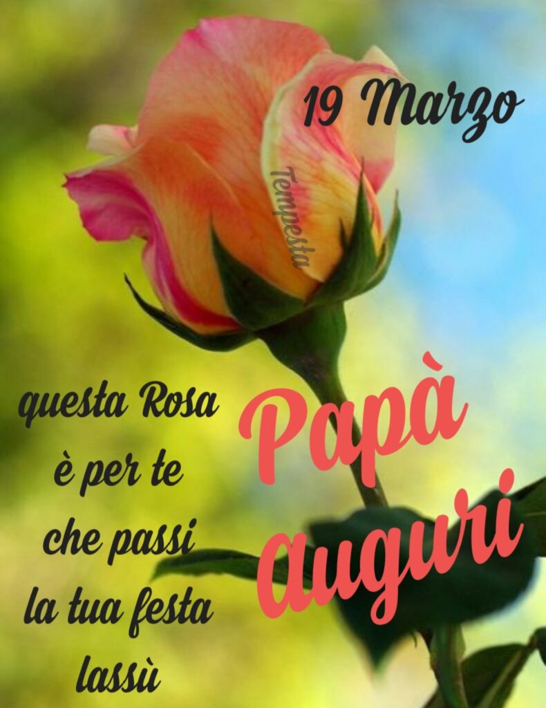 19 Marzo. Questa rosa è per te che passi la tua festa lassù, auguri papà