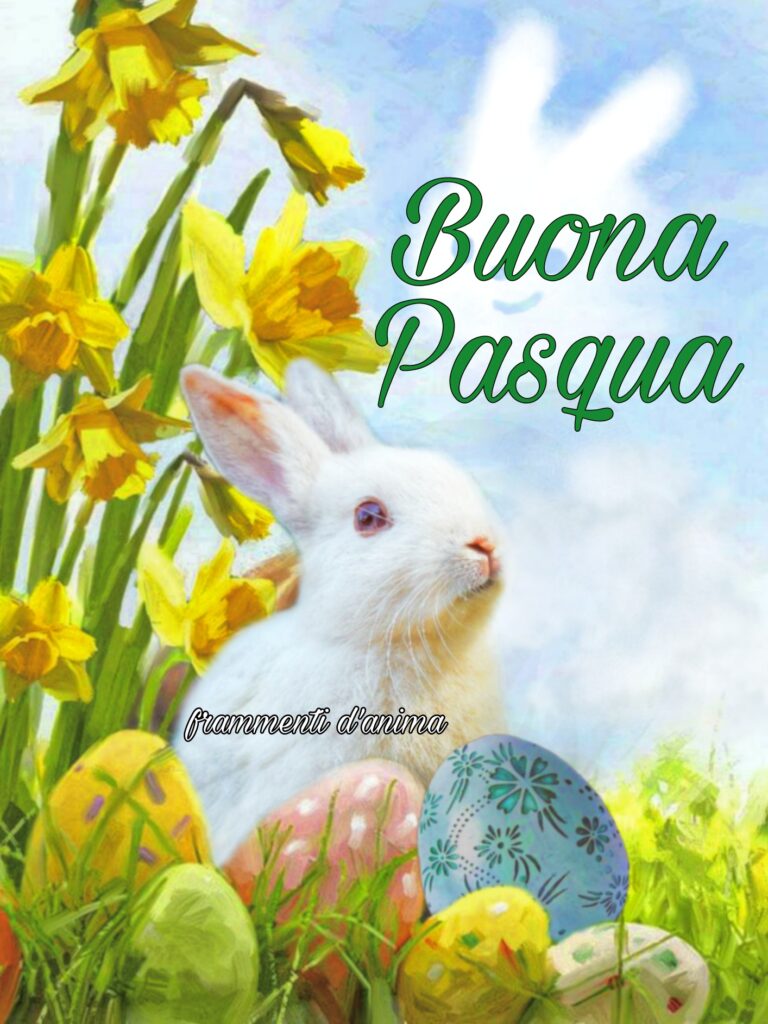 Buona Pasqua coniglietto
