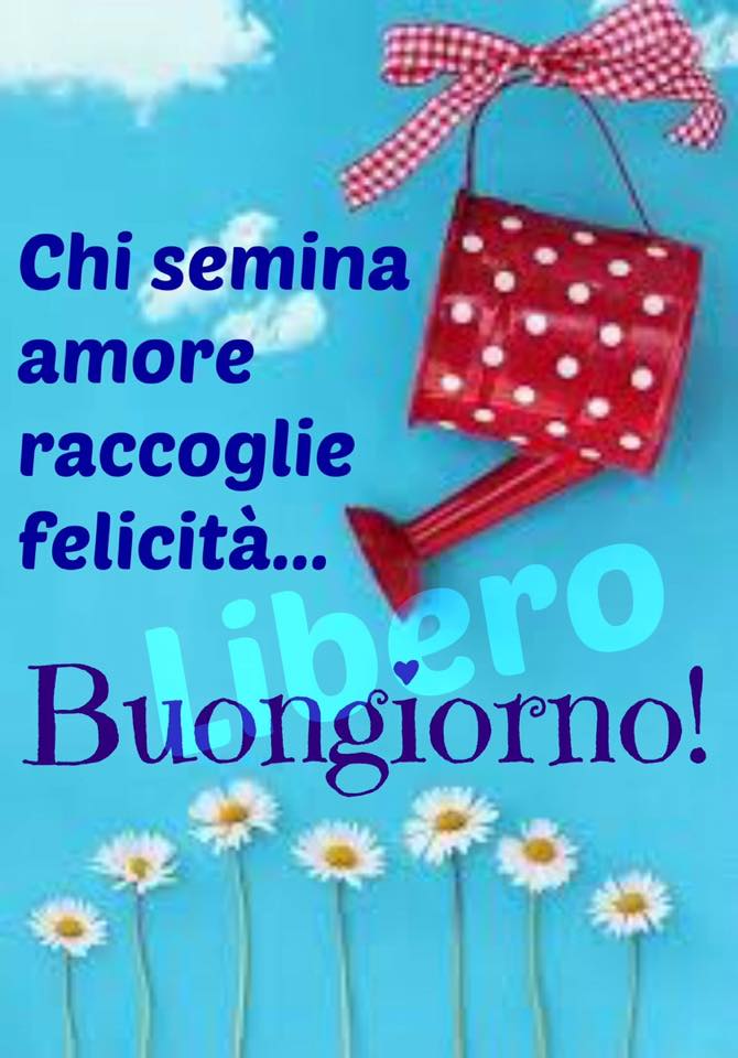 Chi semina amore raccoglie felicità... Buongiorno!