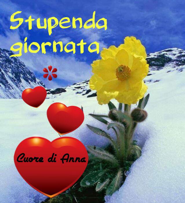 Stupenda giornata invernale