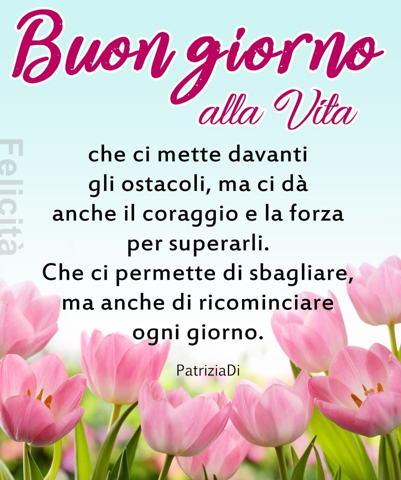 Buongiorno alla vita che ci mette davanti gli ostacoli, ma ci dà anche il coraggio e la forza per superarli... (PatriziaDi)