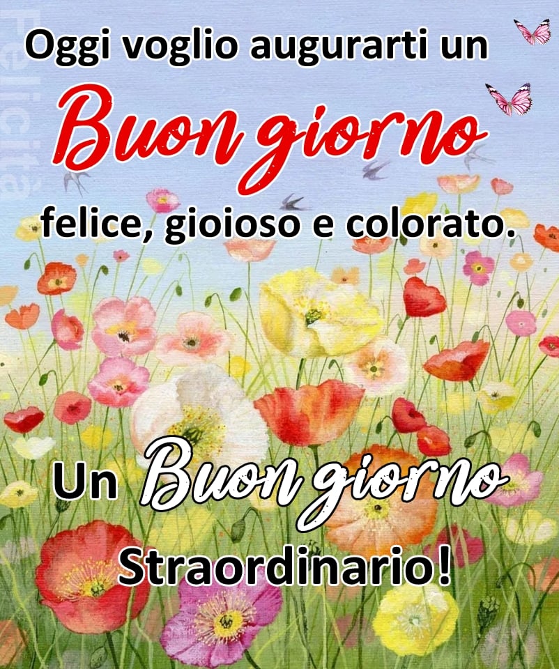 Oggi voglio augurarti un buongiorno felice, gioioso e colorato. Un buongiorno straordinario!