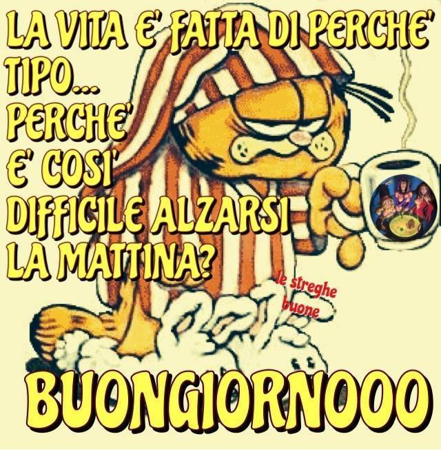 Immagini da ridere per augurare buongiorno agli amici