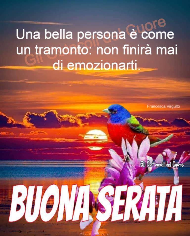 Una bella persona è come un tramonto: non finirà mai di emozionarti. BUONA SERATA