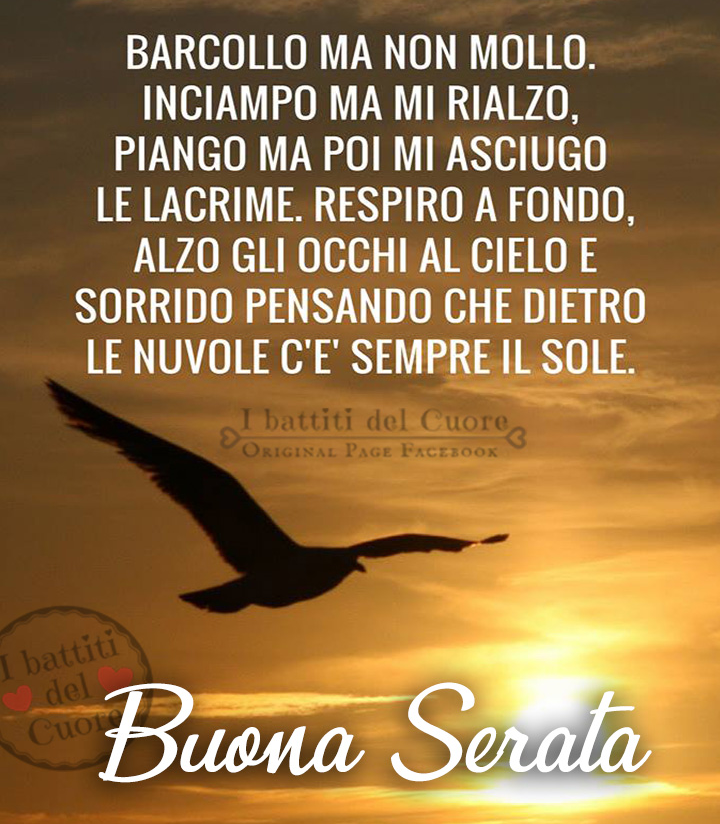 Barcollo ma non mollo. Inciampo ma mi rialzo. Piango ma poi mi asciugo le lacrime. Respiro a fondo, alzo gli occhi al cielo e sorrido pensando che dietro le nuvole c'è sempre il sole. Buona Serata