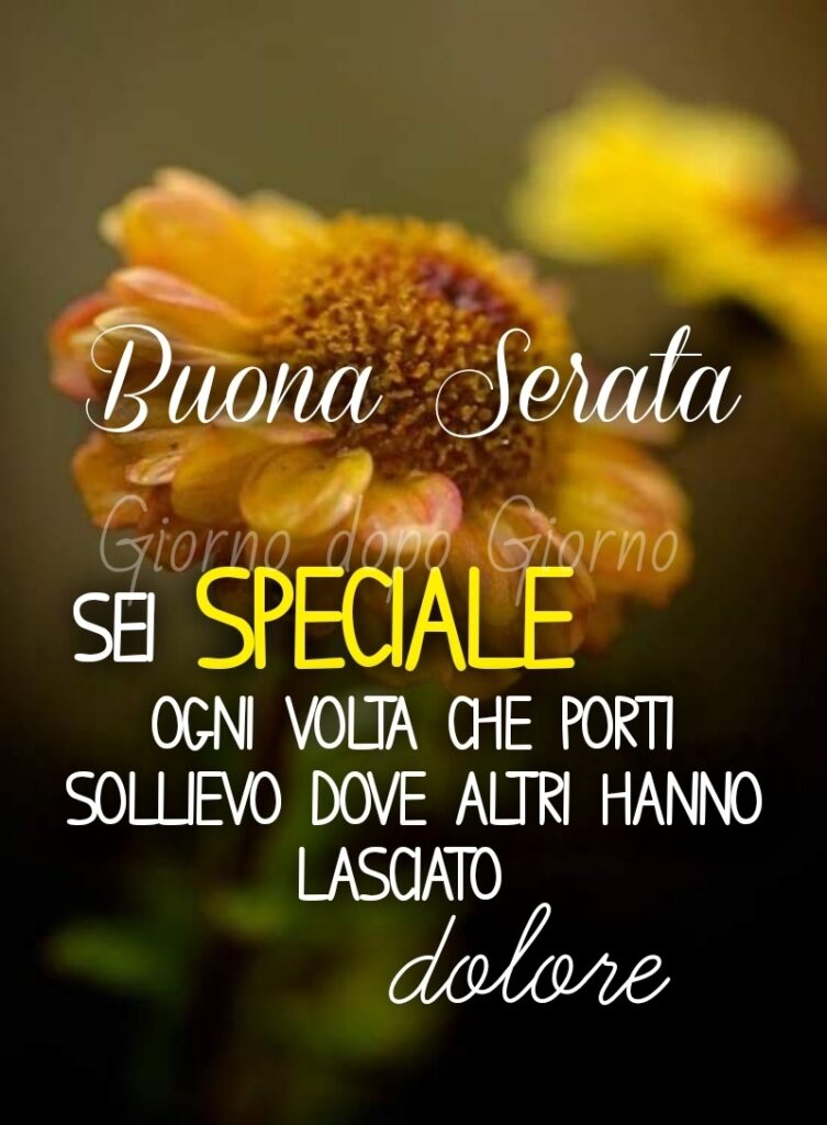 Buona Serata. Sei speciale ogni volta che porti sollievo dove altri hanno lasciato dolore. (Giorno dopo giorno)